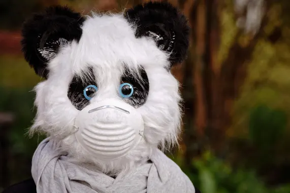 Cazino Eight Storm Cazinou Suport